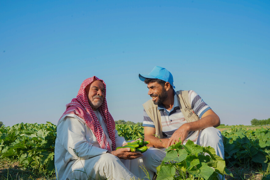 Ein Mann und ein Helfer aus Syrien sitzen auf einem Feld