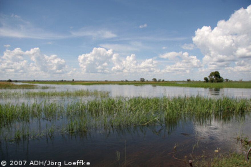 Flut Afrika: überflutete Felder bei Amuria