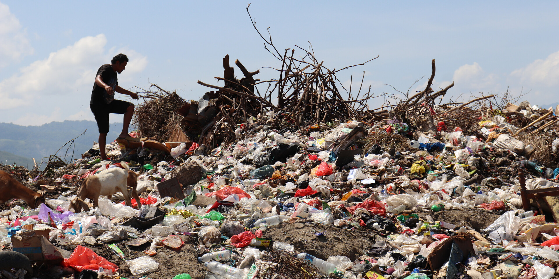 Ein angespülter Plastikberg, Help – Hilfe zur Selbsthilfe