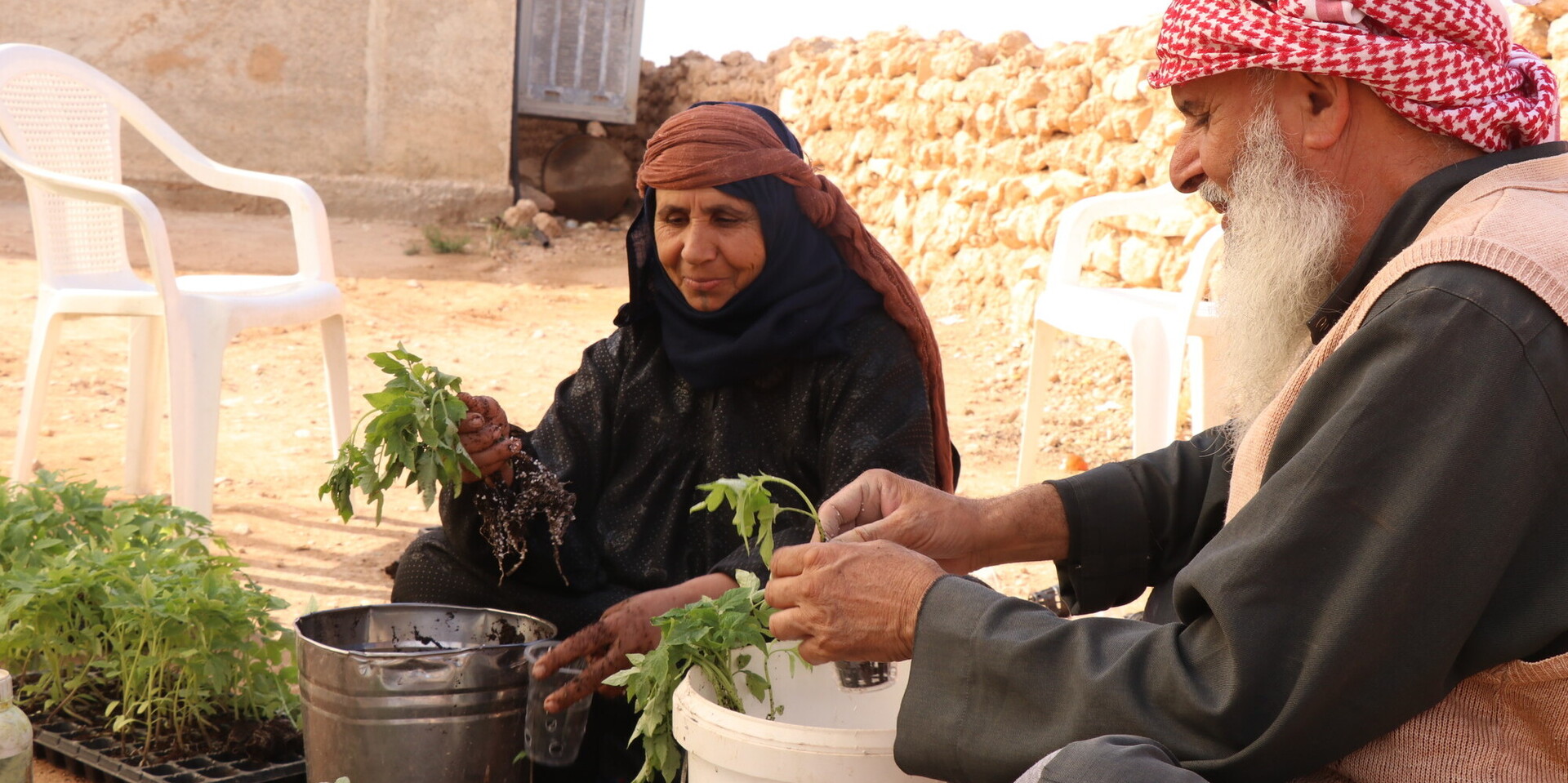 Hilfsprojekt von Help - Hilfe zur Selbsthilfe zur Stärkung landwirtschaftlicher Betriebe in Syrien Hilfsprojekt von Help - Hilfe zur Selbsthilfe zur Stärkung landwirtschaftlicher Betriebe in Syrien