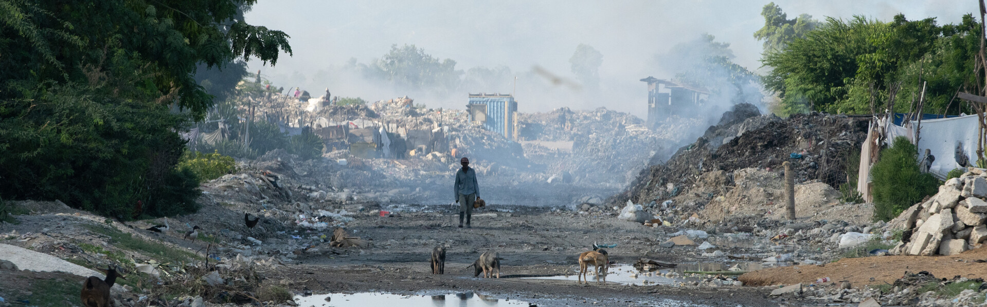 Ein Mann mit seinen Tieren läuft durch die Trümmer nach dem Erdbeben in Haiti