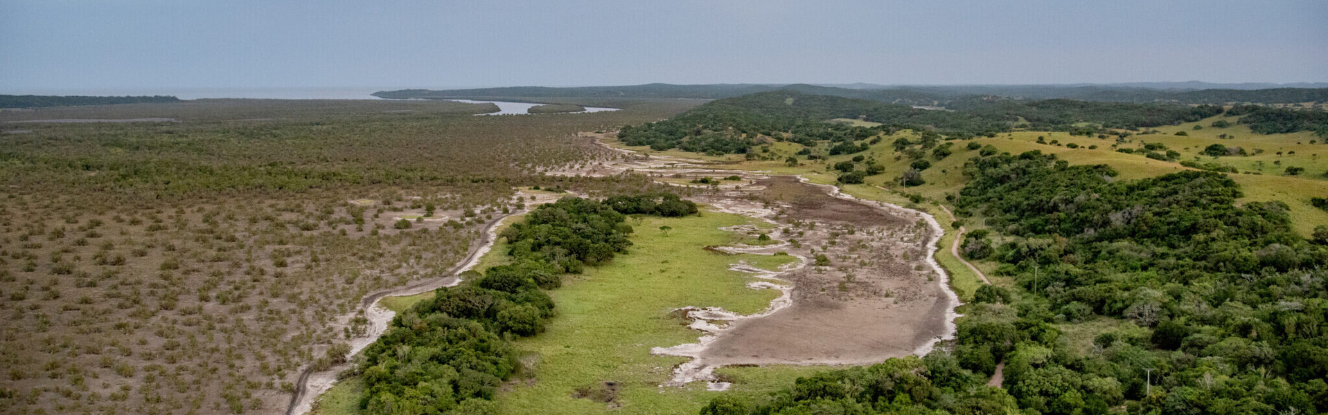 Ein Mangrovenwald in Mosambik