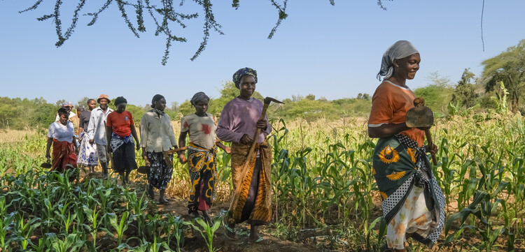 Frauen in Kenia gehen aufs Feld Frauen in Kenia gehen aufs Feld