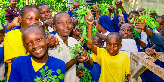 Kinder in Kenia halten Gemüsesetzlinge in der Hand