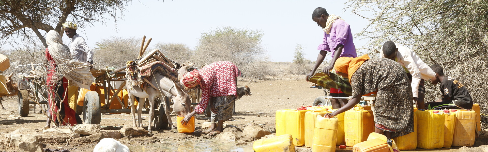 Eine Familie steht mit Wasserkanistern und Tieren in Somalia und füllen Wasser ab