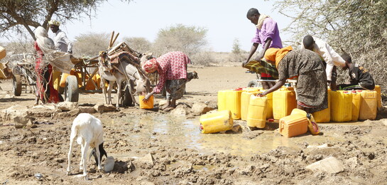 Eine Familie steht mit Wasserkanistern und Tieren in Somalia und füllen Wasser ab