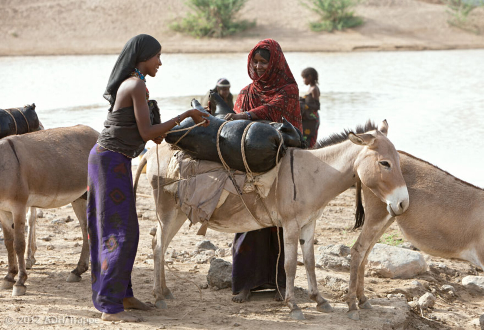 Zwei Frauen befestigen eine mit Wasser gefüllte Ziegenhaut auf einem Esel.