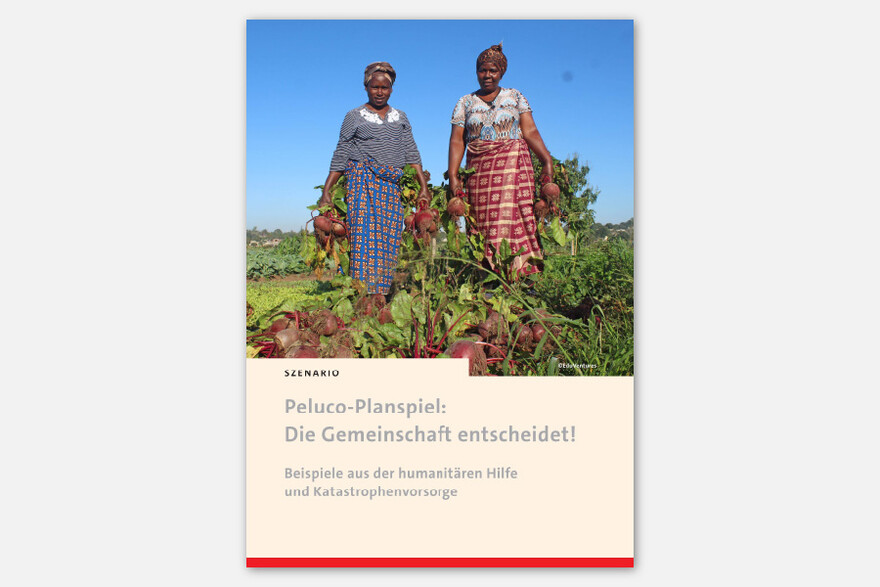 Planspiel zum Schulmaterial "Katastrophenvorsorge verstehen" Planspiel zum Schulmaterial "Katastrophenvorsorge verstehen"