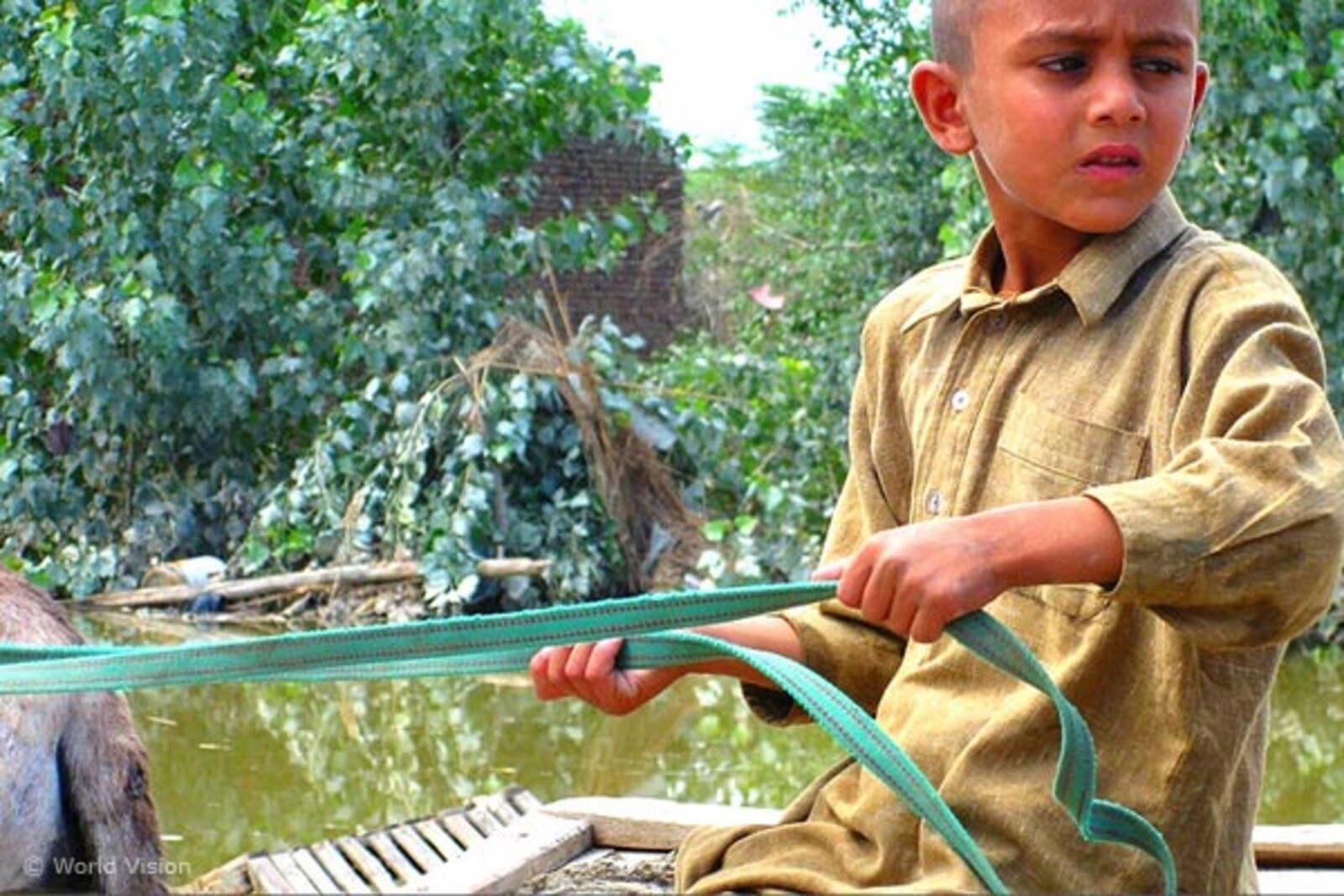 Flut Pakistan: Junge lenkt einen Eselskarren