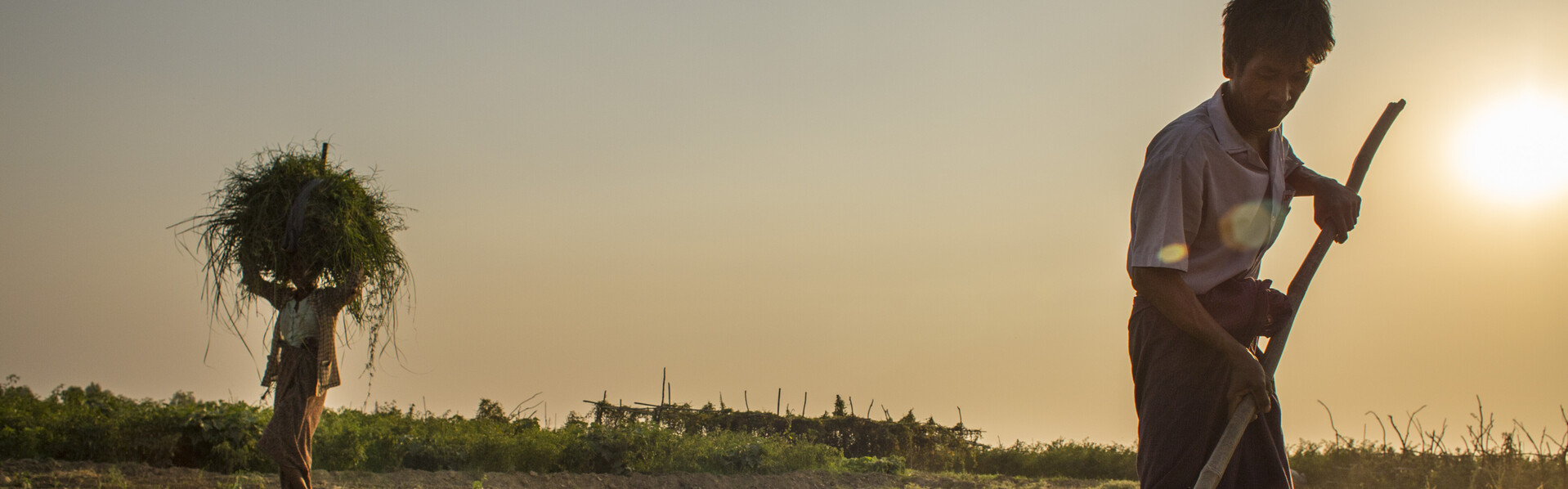 Menschen bearbeiten ein Feld in Myanmar