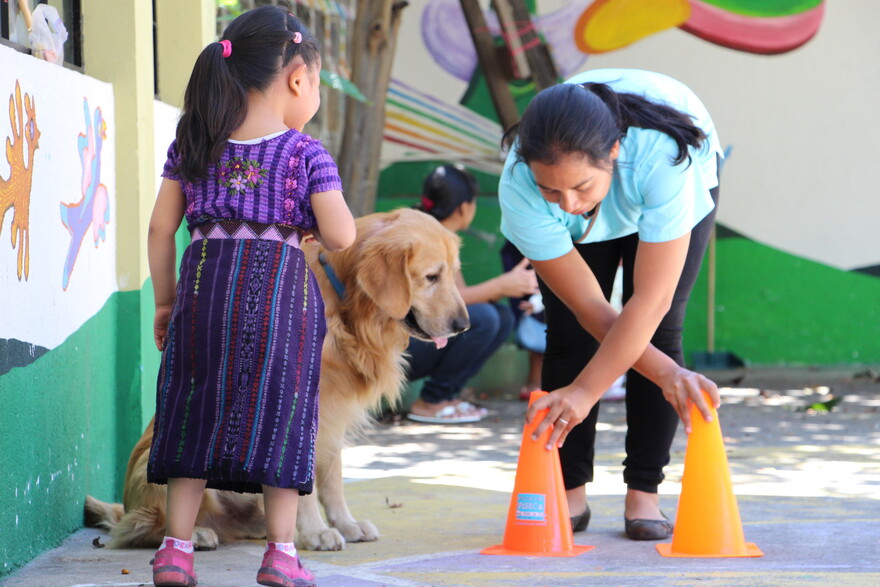 Guatemala Physiotherapie Blindenhund