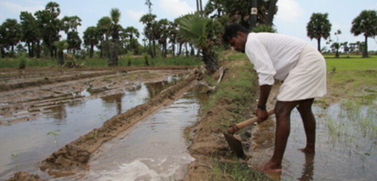 Tsunami: Farmarbeit