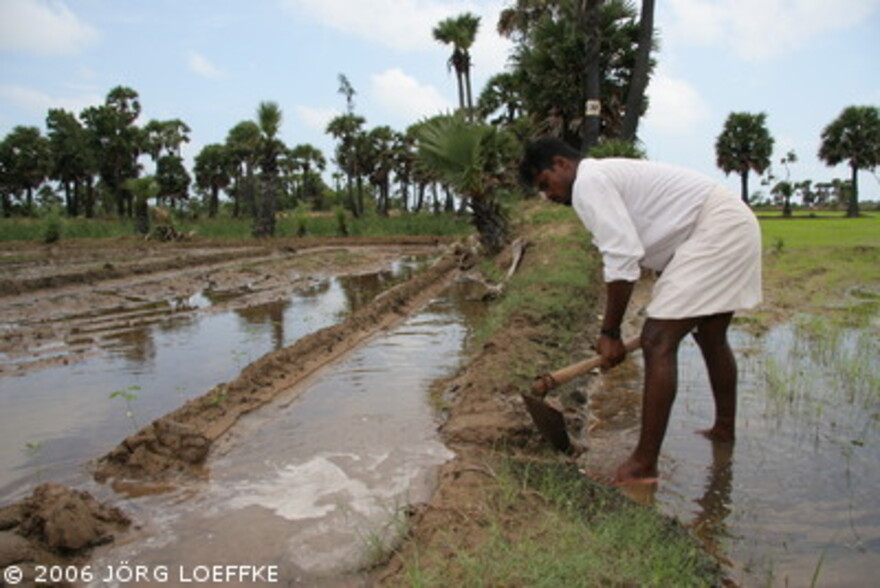 Tsunami: Farmarbeit