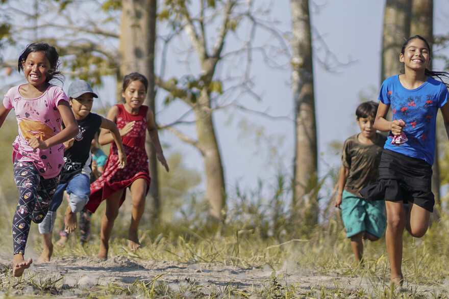 In Brasilien läuft eine Gruppe Kinder durch die Natur