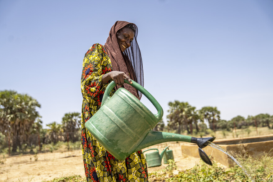 Eine Frau in Mali gießt Pflanzen mit einer grünen Gießkanne