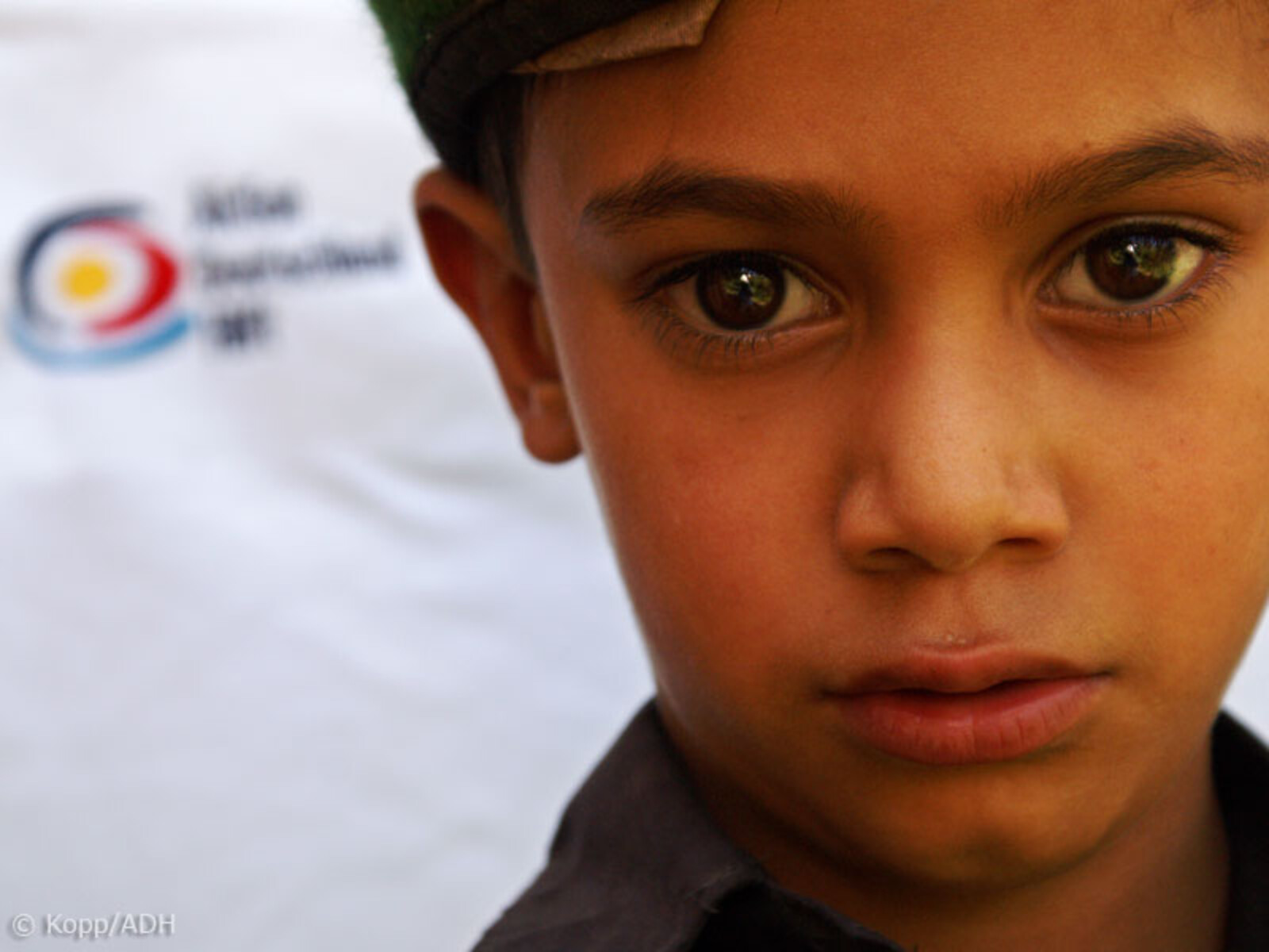 006-800-who-we-are-6 The varied expertise and abilities of the individual members are bundled for use in the case of wars and conflicts, famines, earthquakes, flooding and other disasters.