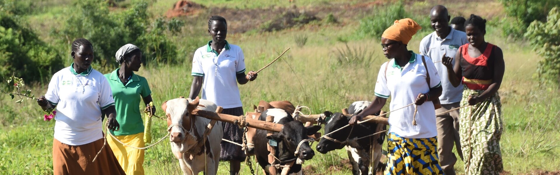 Hilfsprojekt von AWO International für Landwirte in Uganda 