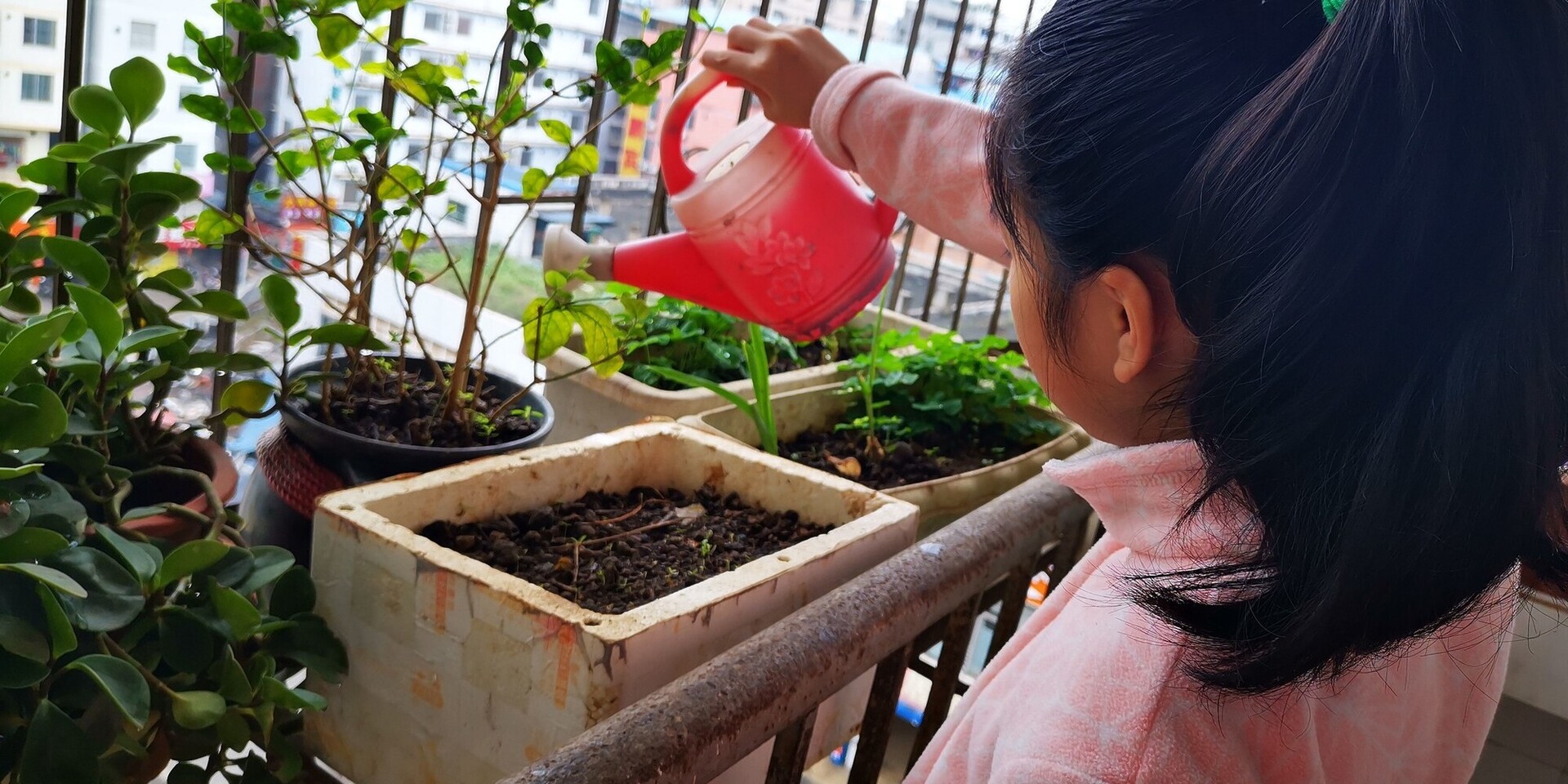 Quarantäne in China: Das Mädchen Yueyue auf dem Balkon ihres Zuhauses Quarantäne in China: Das Mädchen Yueyue auf dem Balkon ihres Zuhauses