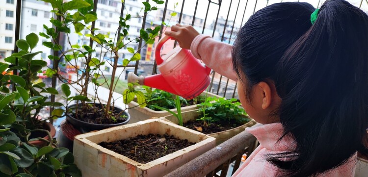 Quarantäne in China: Das Mädchen Yueyue auf dem Balkon ihres Zuhauses Quarantäne in China: Das Mädchen Yueyue auf dem Balkon ihres Zuhauses