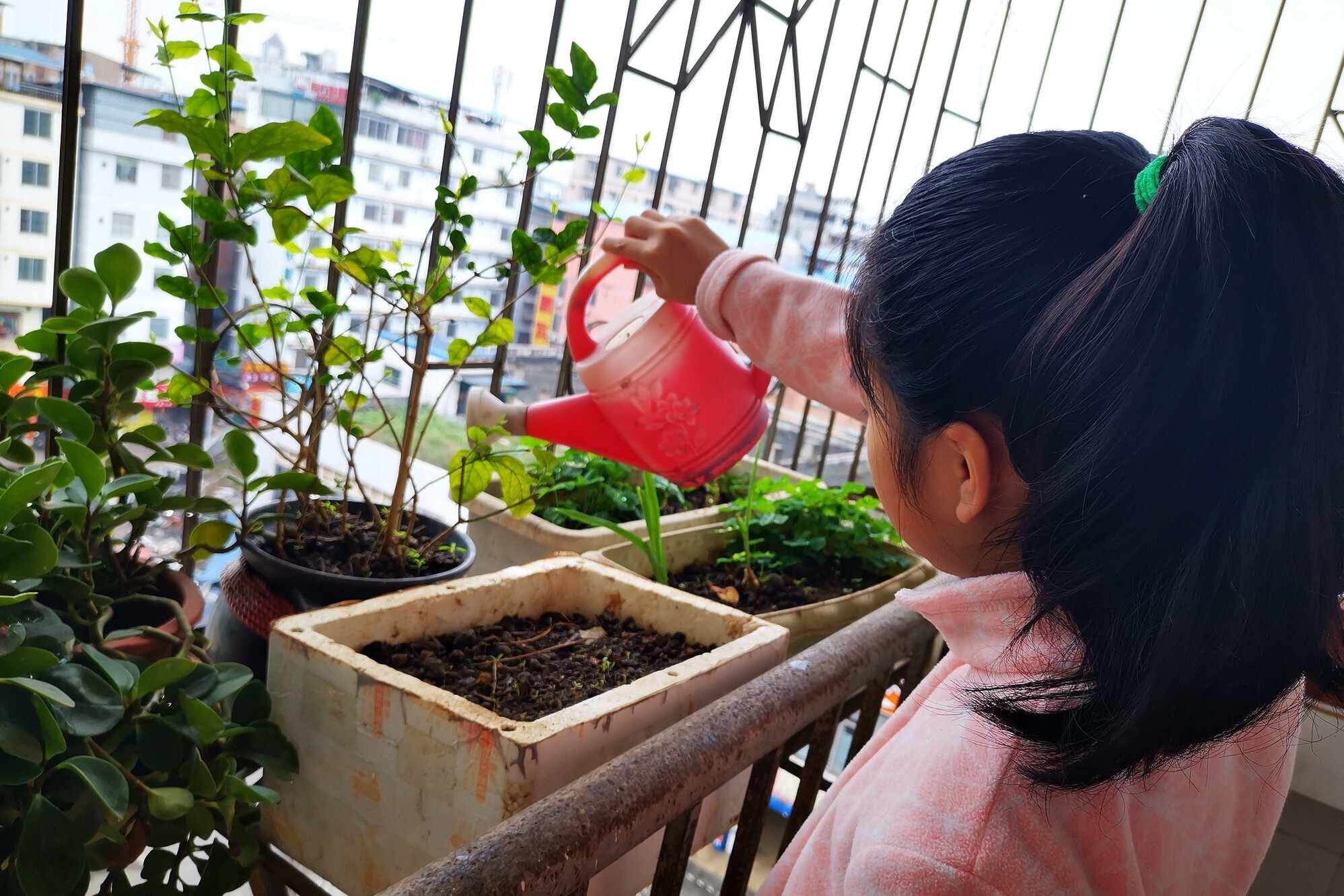 Quarantäne in China: Das Mädchen Yueyue auf dem Balkon ihres Zuhauses