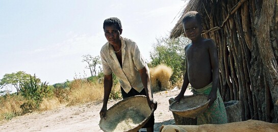 Die Dürre in Simbabwe trifft die Menschen, die von der Landwirtschaft leben, sehr hart. Durch El Niño hungern Millionen Menschen in Süd- und Ostafrika.