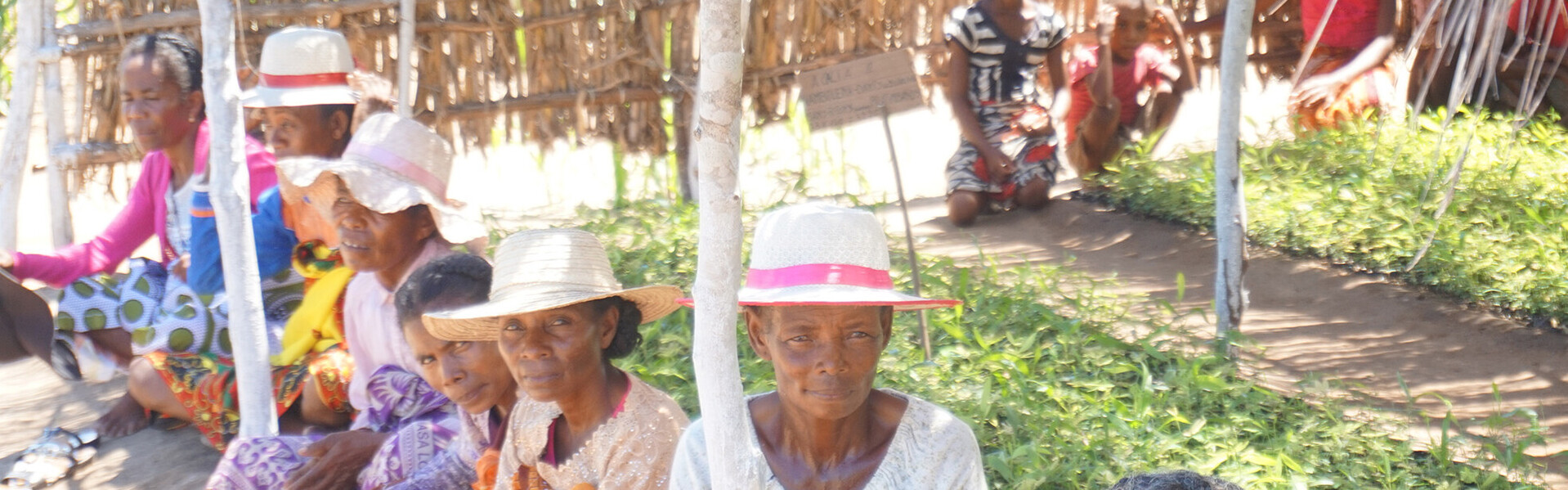 Hunger in Madagaskar - unsere Bündnispartner sind vor Ort