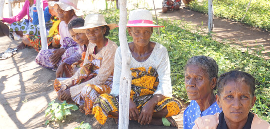 Hunger in Madagaskar - unsere Bündnispartner sind vor Ort