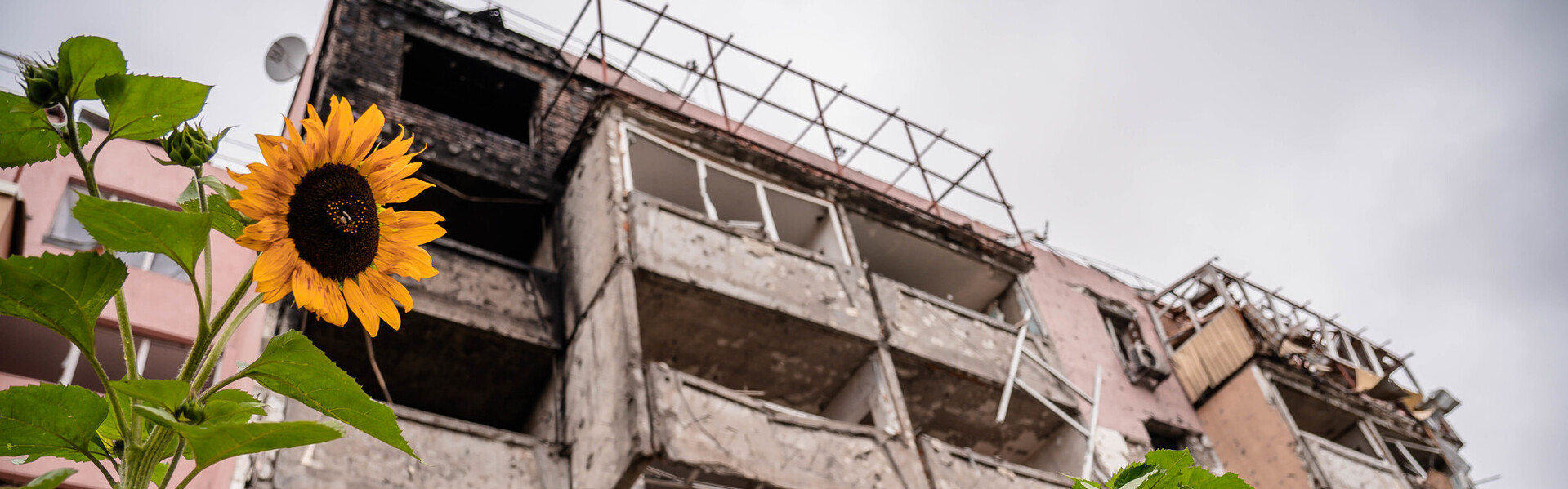 Ein zerstörtes Haus in der Ukraine
