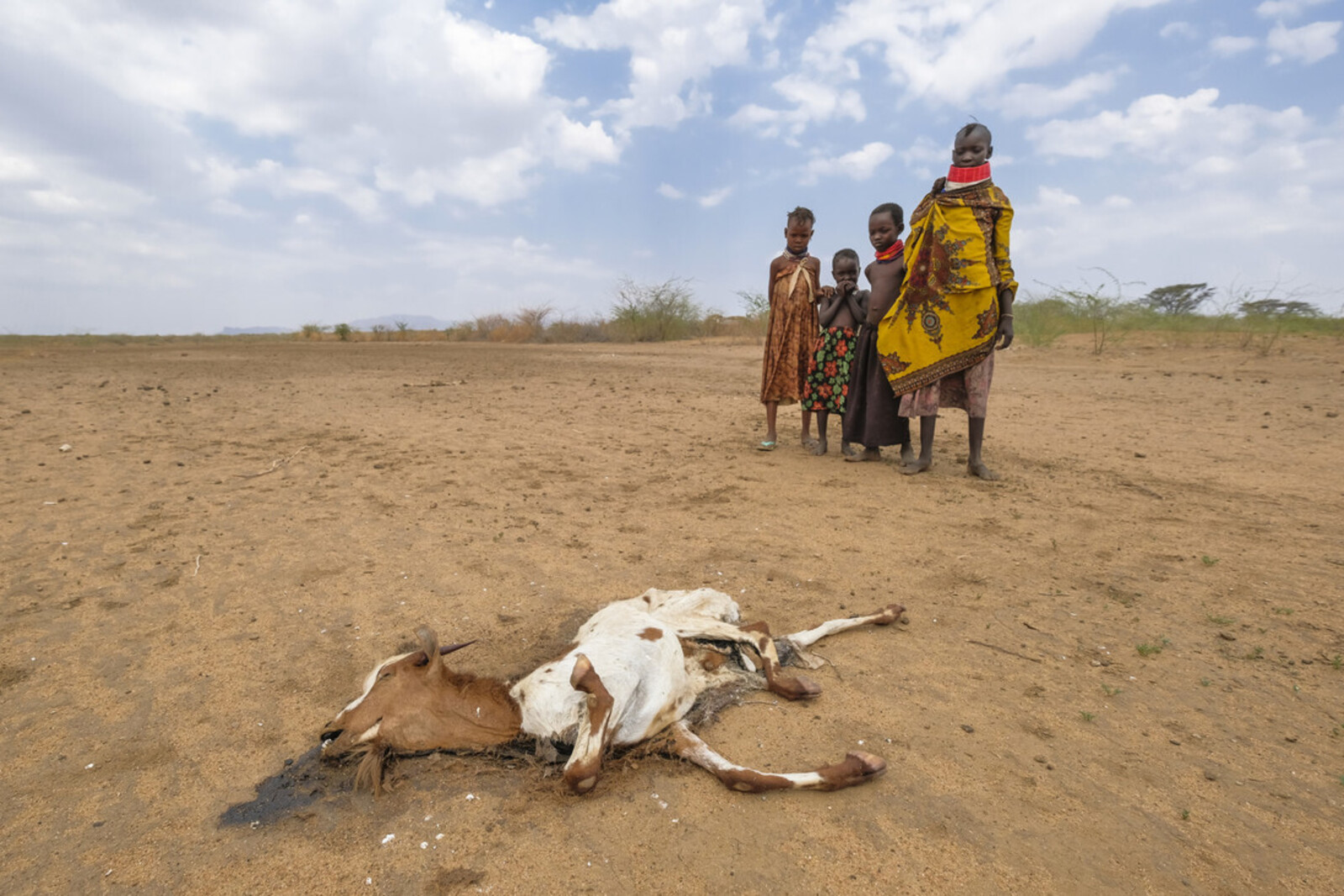 Menschen in Kenia und eine Ziege, die aufgrund der Trockenheit verendete