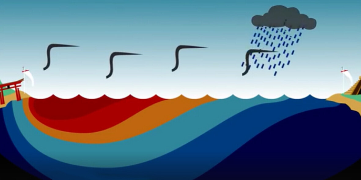 Wir erklären El Niño ausführlich in unserem Erklärvideo und Erklärtext. Auf dem Foto werden die einzelnen Naturkräfte wie Wind und Strömung näher erklärt, die zu El Niño führen.