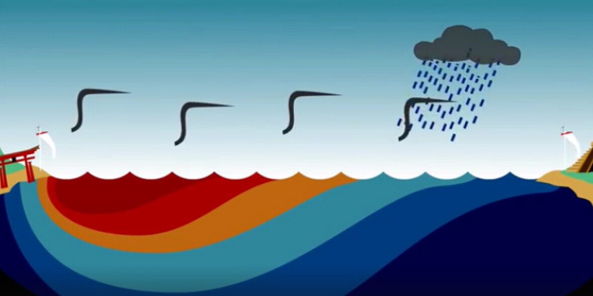 Wir erklären El Niño ausführlich in unserem Erklärvideo und Erklärtext. Auf dem Foto werden die einzelnen Naturkräfte wie Wind und Strömung näher erklärt, die zu El Niño führen.