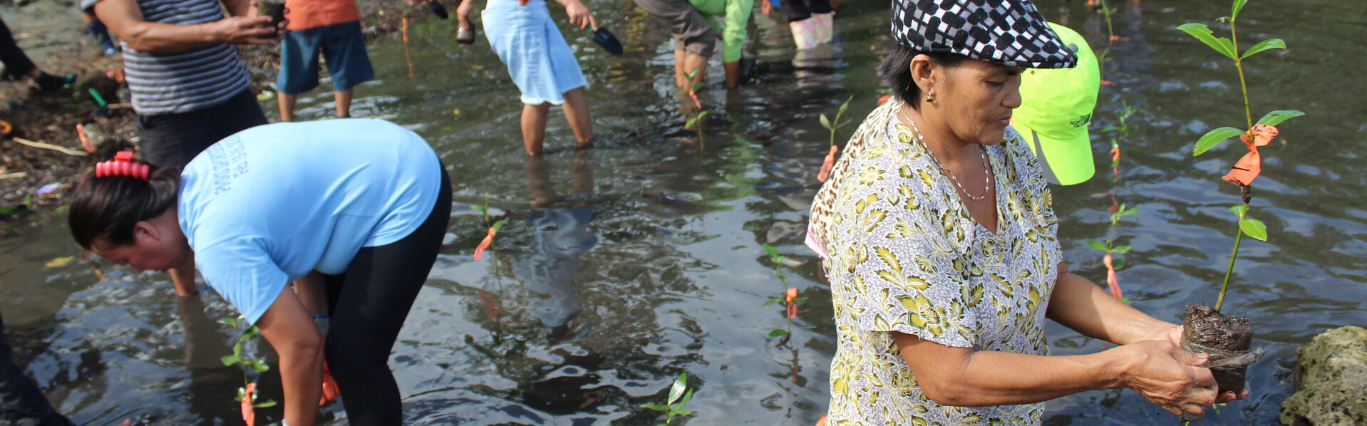 Katastrophenschutz auf den Philippinen: Frauen und Männer pflanzen in einem Fluss Mangroven an