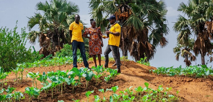 Im Südsudan suchen die Menschen nach alternativen Anbaumethoden für ihr Gemüse Im Südsudan suchen die Menschen nach alternativen Anbaumethoden für ihr Gemüse