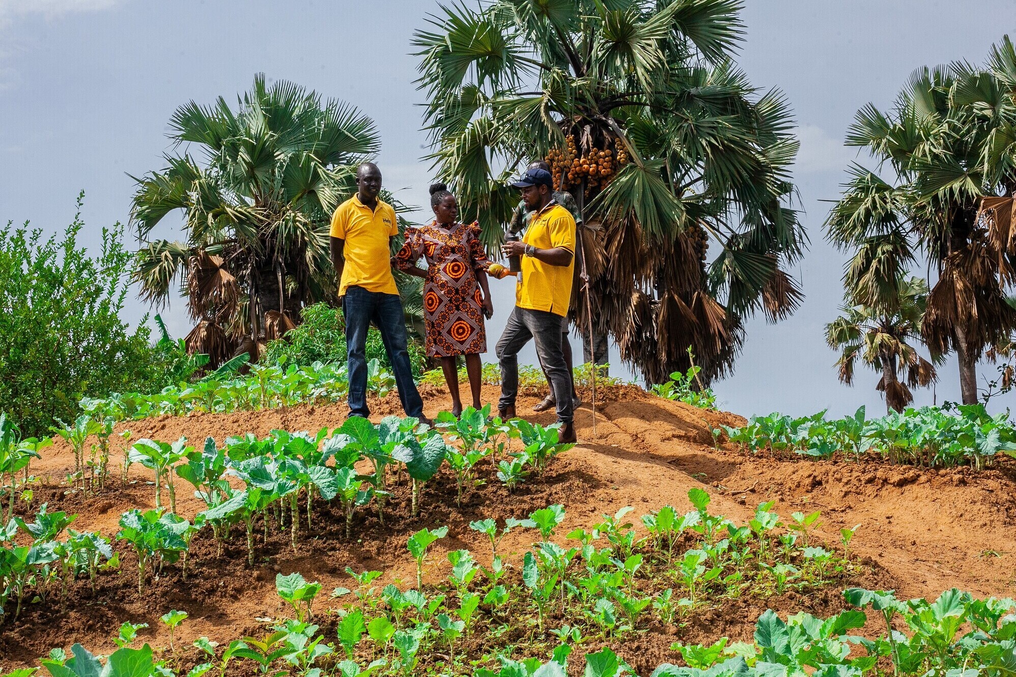 Im Südsudan suchen die Menschen nach alternativen Anbaumethoden für ihr Gemüse Im Südsudan suchen die Menschen nach alternativen Anbaumethoden für ihr Gemüse