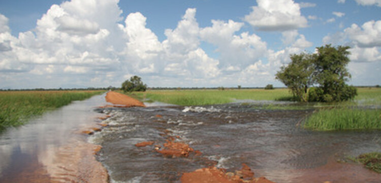 Flut Afrika: überschwemmte Straße zwischen Soroti und Amuria