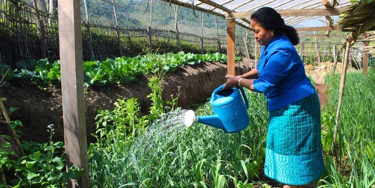 Frau in Laos bei Hilfsprojekt von ADRA