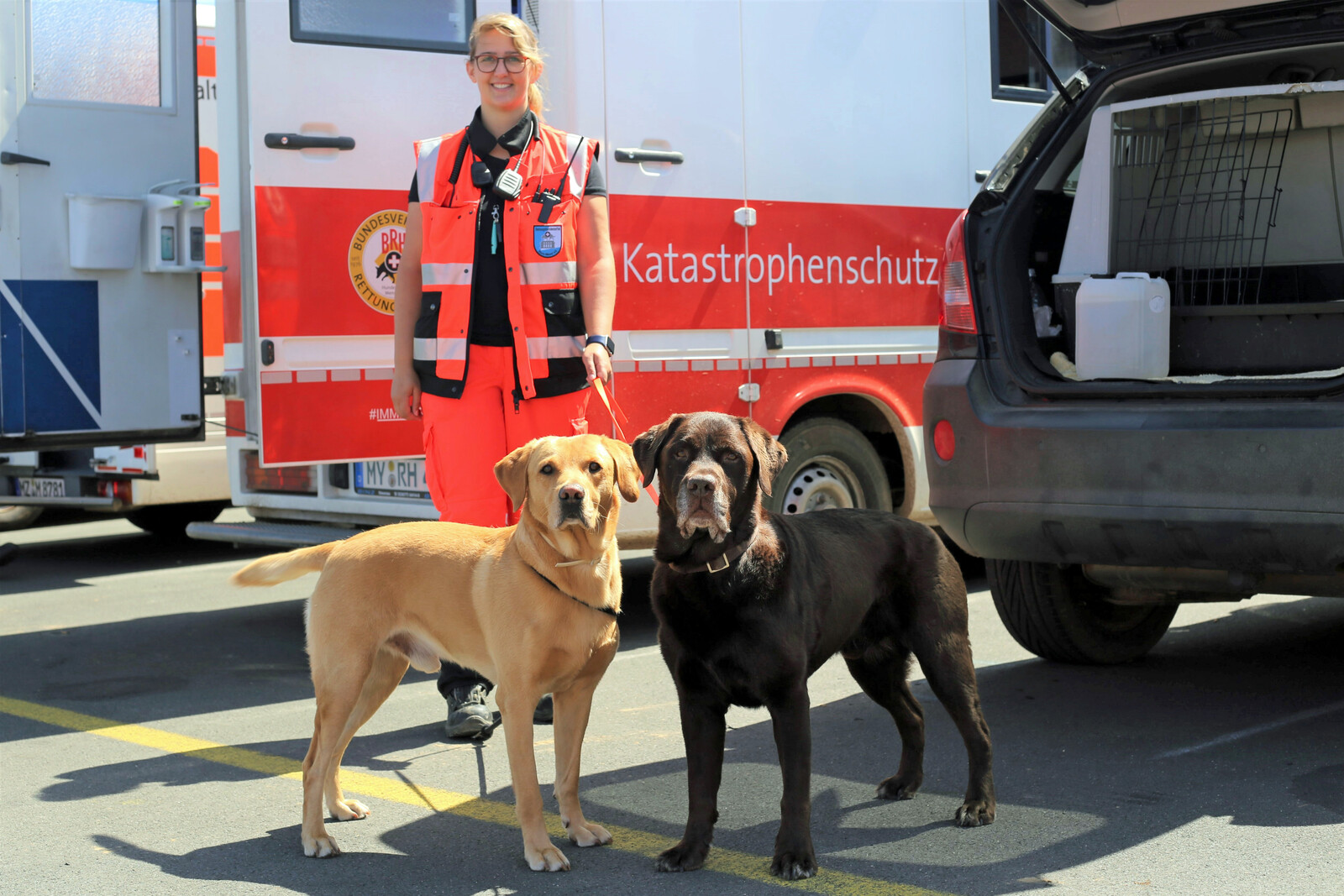 Helferin von der Bündnisorganisation Bundesverband Rettungshunde mit zwei Hunden