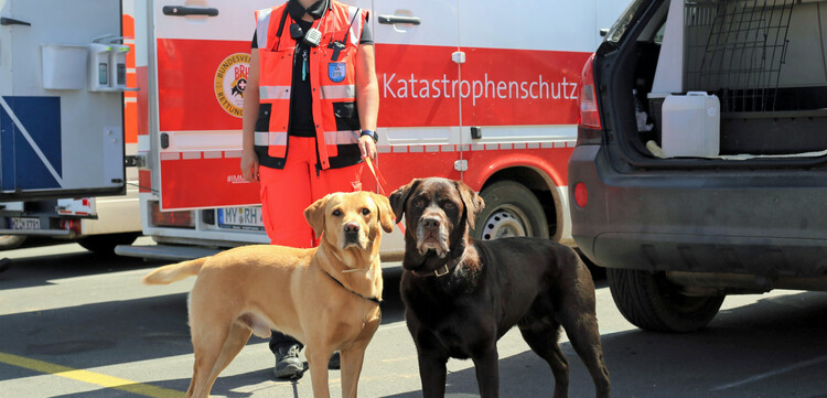 Helferin von der Bündnisorganisation Bundesverband Rettungshunde mit zwei Hunden