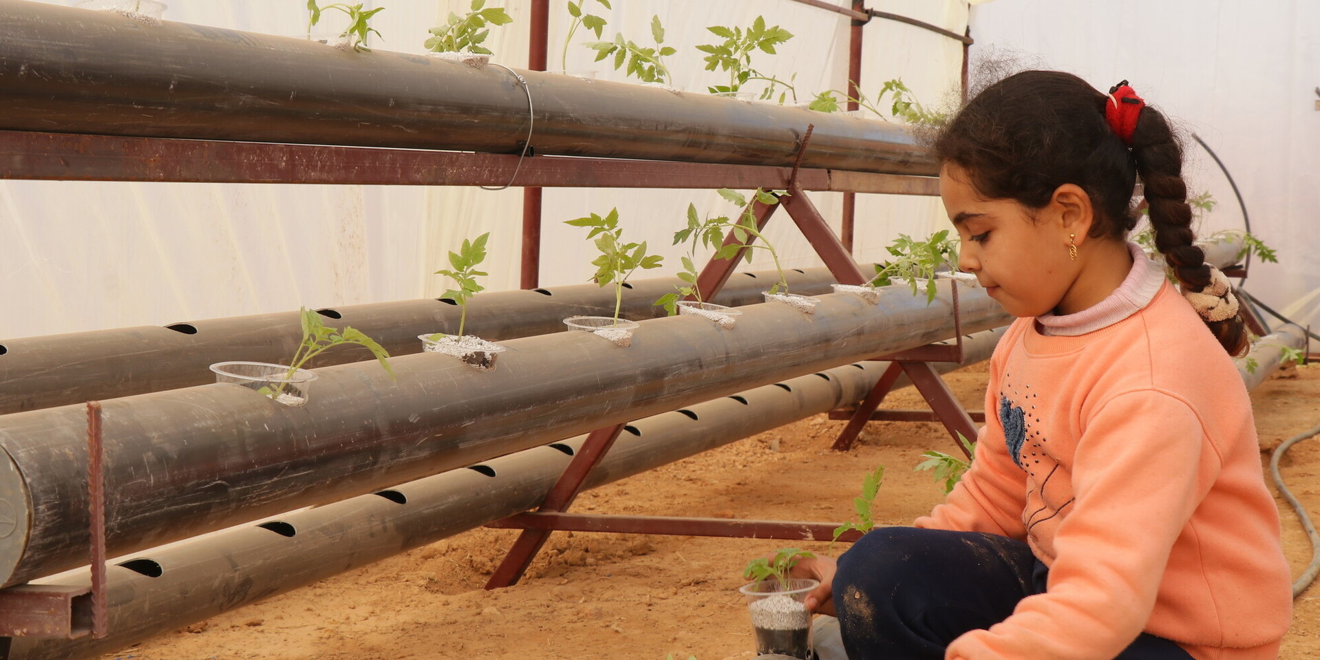 Mädchen bei Hilfsprojekt für nachhaltige Landwirtschaft in Syrien Mädchen bei Hilfsprojekt für nachhaltige Landwirtschaft in Syrien