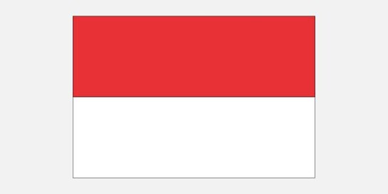 Die Flagge von Indonesien
