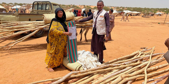 Helfer verteilen an Vertriebene aus dem Niger Baumaterial 