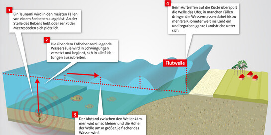 Infografik: Entstehung eines Tsunamis