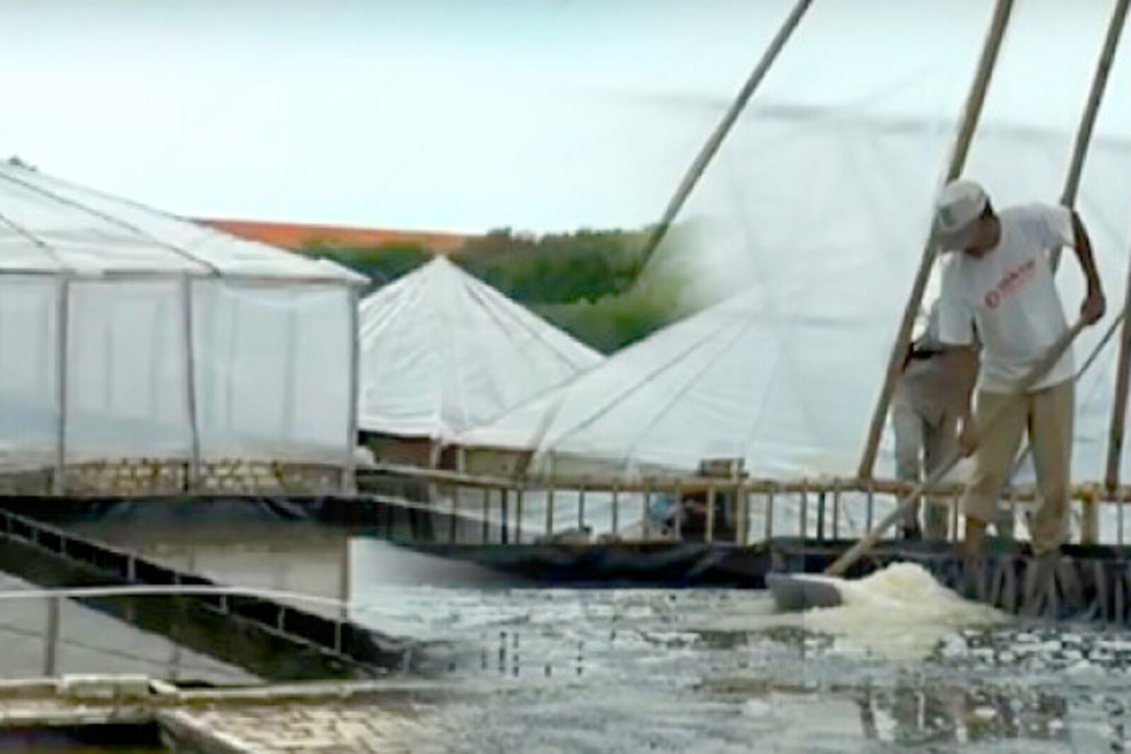 In Prisma-Häusern können Salzproduzenten aus Indonesien unabhängig von klimatischen Veränderungen arbeiten