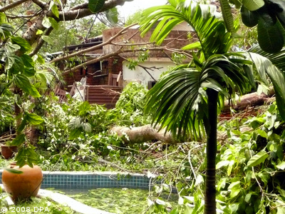 Zyklon Myanmar: Zerstörter Garten
