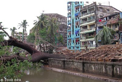 Zyklon Myanmar: Umgekippter Baum