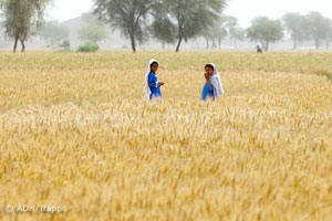 Landgrabbing