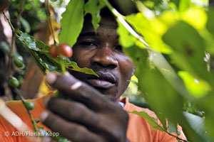 Landgrabbing