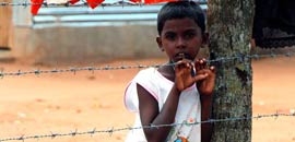 Flüchtlinge Sri Lanka