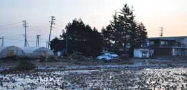 Erdbeben Japan, nach dem Tsunami bleibt Schlamm zurück