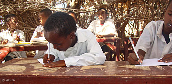 Wasser, Nahrungsmittel, Bildung: ADRA hilft in Somalia